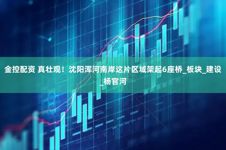 金控配资 真壮观！沈阳浑河南岸这片区域架起6座桥_板块_建设_杨官河